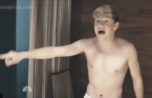 2441E35C00000578-2886490-Off_duty_One_Direction_s_Niall_Horan_strips_down_to_his_smalls_f-a-20_1419453117942